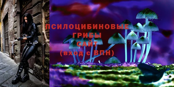альфа пвп Беломорск