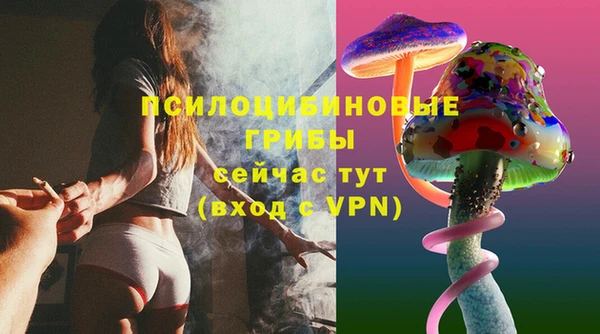 гидра Белокуриха