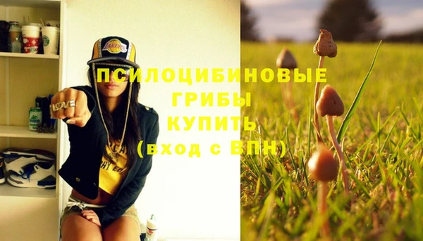 гидра Белокуриха
