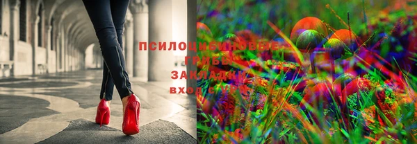 дмт Володарск