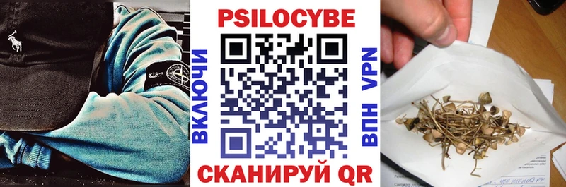 купить наркотик  Миллерово  Галлюциногенные грибы GOLDEN TEACHER 